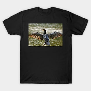 Spread your wings - Cormorant T-Shirt